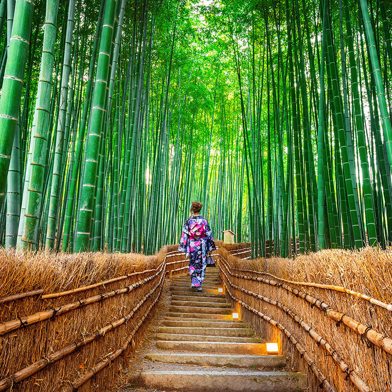 公益社団法人京都青年会議所 2026年度HP 覧古恒心~愛を貫き、未来を拓く~